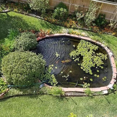 The Seahorse Apt - Lakeside And Close To The Beach Apartamento Galveston Exterior foto